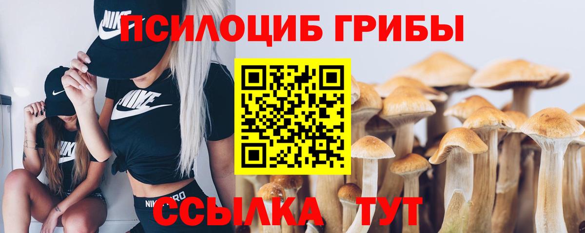Галлюциногенные грибы ЛСД  Вход с VPN  как найти закладки  Орёл  Псилоцибиновые грибы Magic Shrooms 